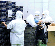 ペッキング作業室